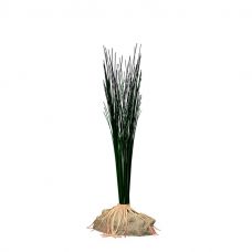 Аир 15см, растение шелковоеTetraDecoArt Plantastic