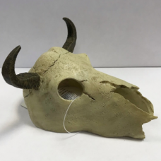 Декор череп буйвола для террариума