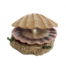 Декоративная композиция ArtUniq Shell With A Pearl